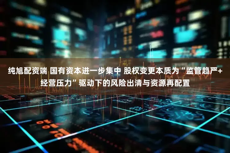 纯旭配资端 国有资本进一步集中 股权变更本质为“监管趋严+经营压力”驱动下的风险出清与资源再配置